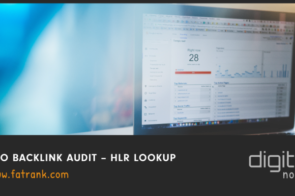 SEO Backlink Audit – HLR LOOKUP