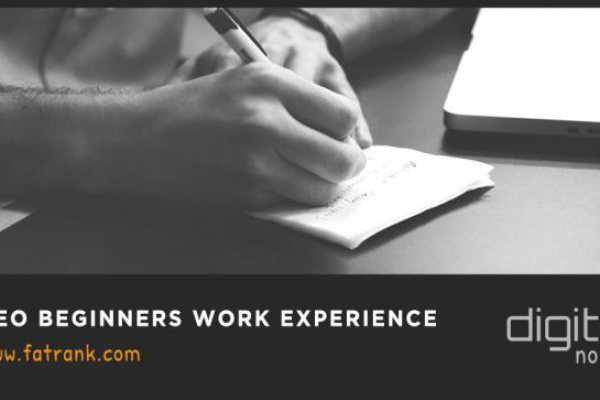 SEO Beginners Work Experience - FatRank